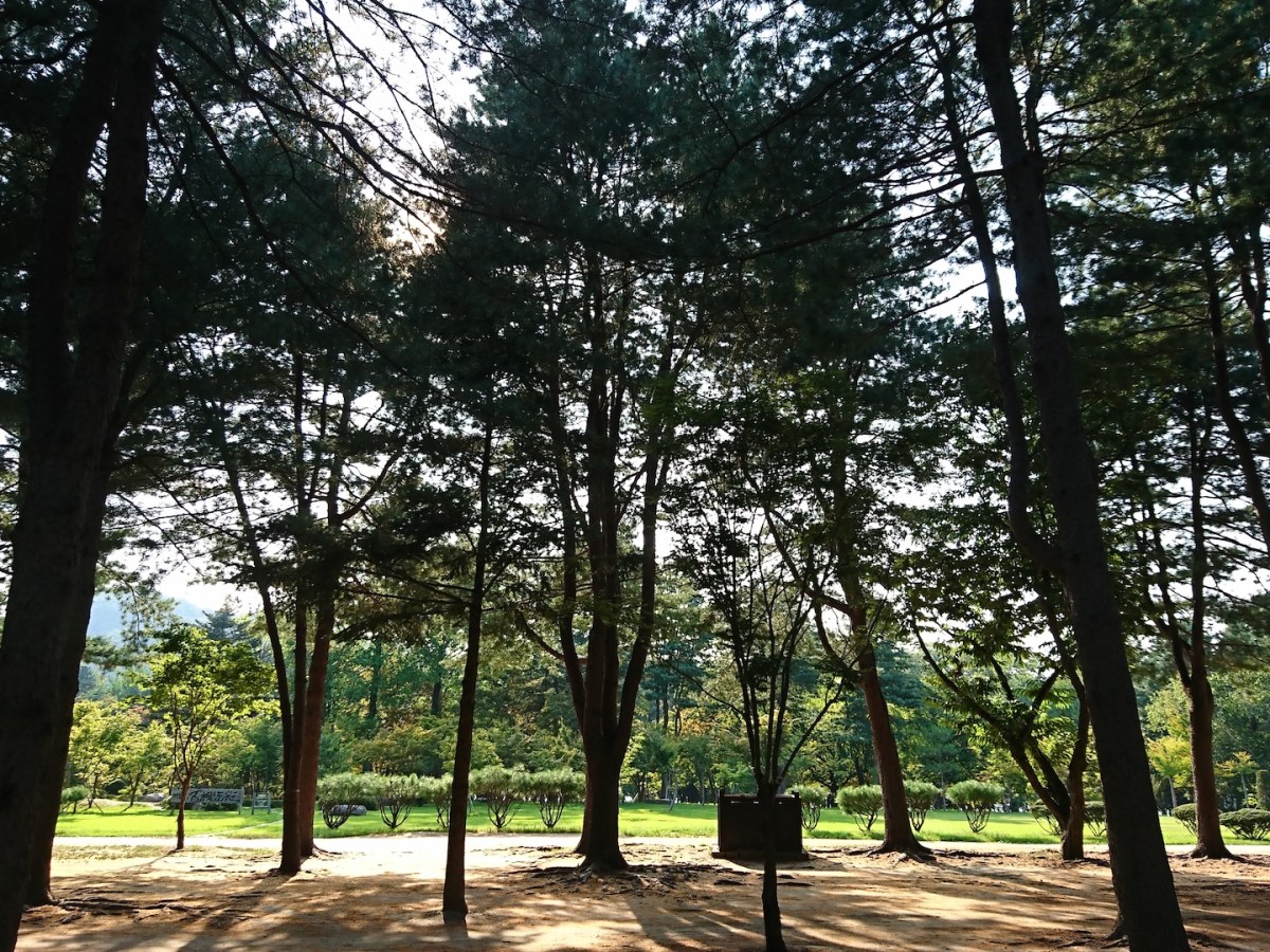 令人印象深刻的韓國首爾追劇之旅