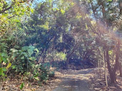 一下雨就免不了長青苔的小山坡